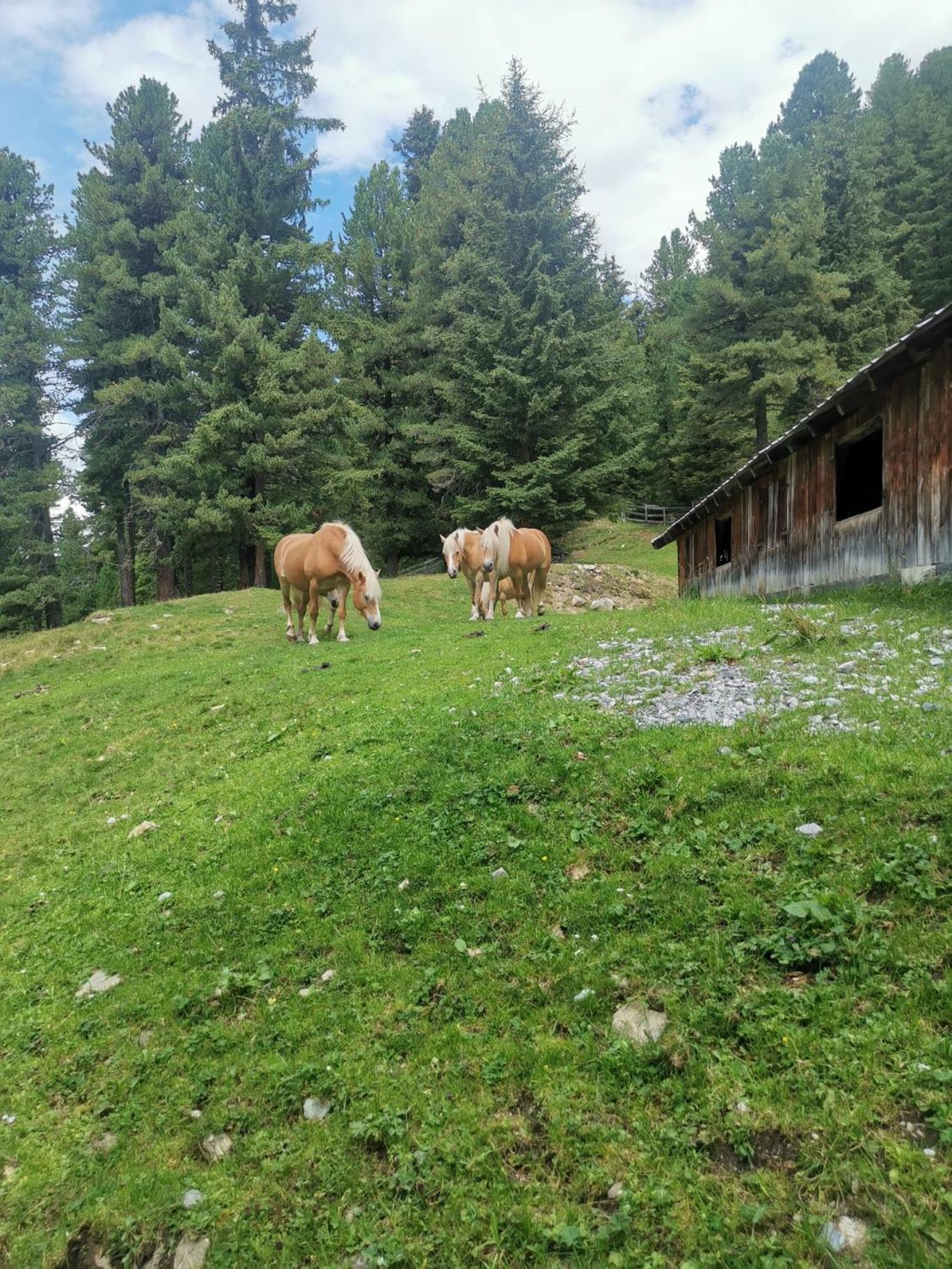 耶岑斯Pitztal Living公寓式酒店 外观 照片